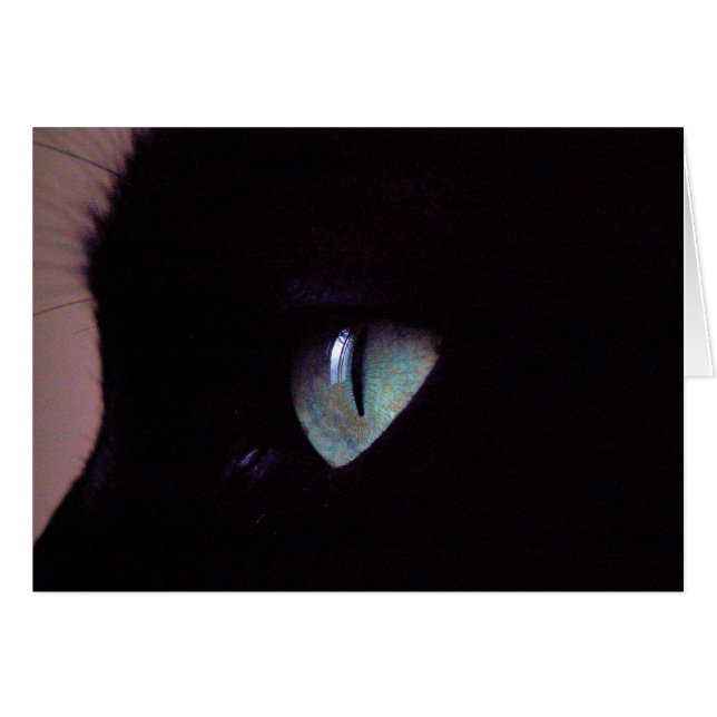 Cartão Zen super da salsa (Frente Horizontal)