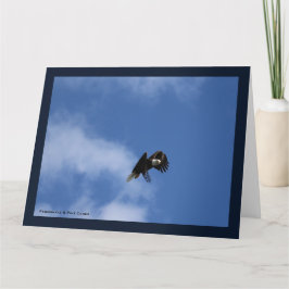 Cartão Zeroing in the Catch