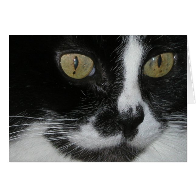 Cartão Zewa (Frente Horizontal)