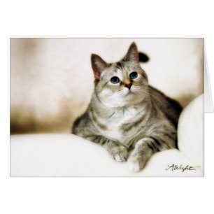 Cartão Zilla em tons de Brown