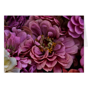 Cartão Zinnias desbotadas