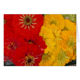 Cartão Zinnias vermelhos & amarelos