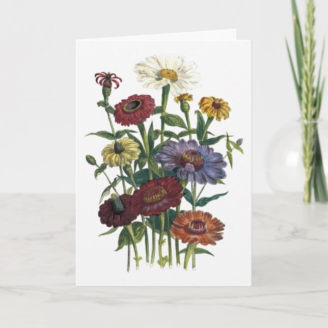 Cartão Zinnias Watercolor Consegue Bem Em Breve (Frente)
