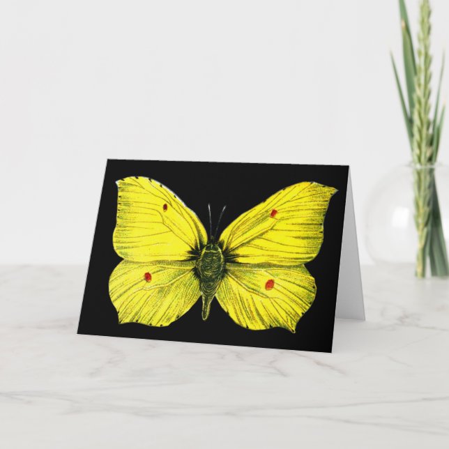 Cartão Zitronenfalter (Frente)