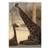 Zoo Series, Baby Giraffe e mamãe