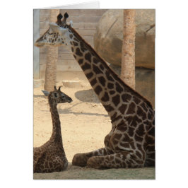 Cartão Zoo Series, Baby Giraffe e mamãe
