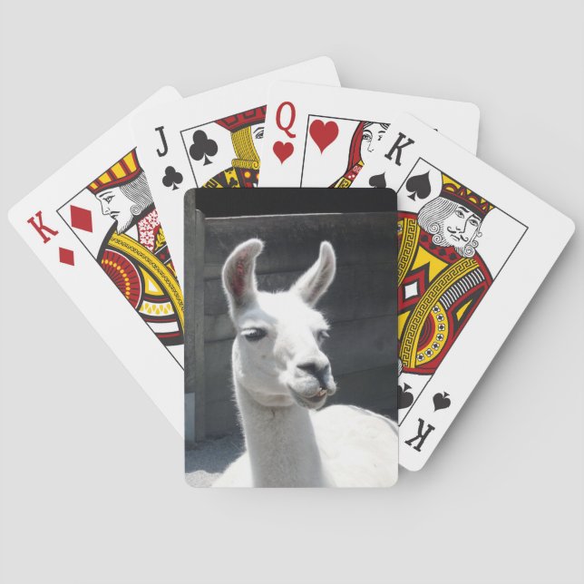 Cartas de Baralho com Lhama Sorridente (Verso)