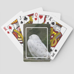 Cartas de Baralho da Coruja da Neve
