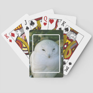Cartas de Baralho da Coruja da Neve