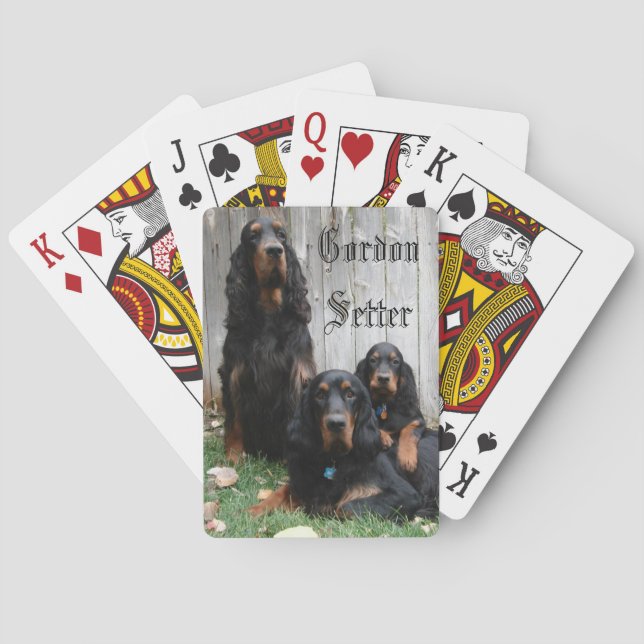 Cartas de Baralho das Gerações do Setter Gordon (Verso)