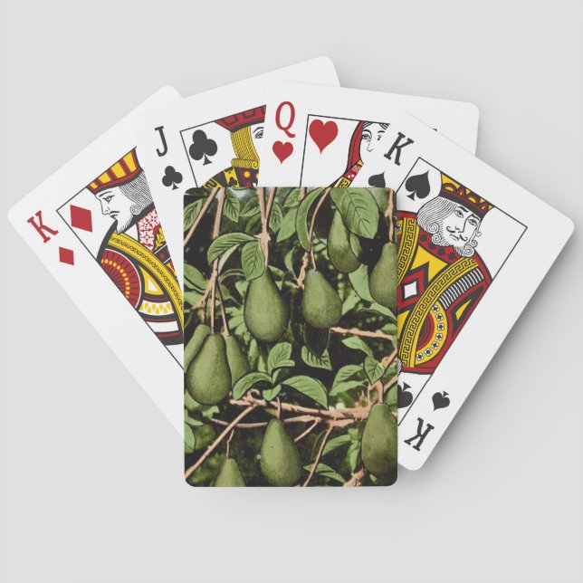 Cartas de Baralho de Abacates (Verso)