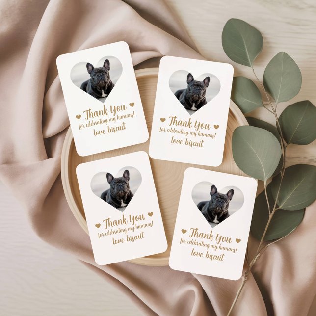 Cartas de Baralho de Casamento de Cachorro Foto Co (Criador carregado)