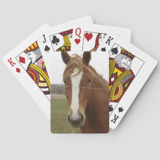 Cartas de Baralho de Cavalo