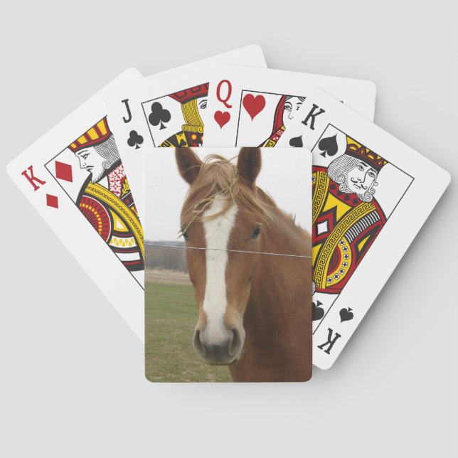 Cartas de Baralho de Cavalo (Verso)