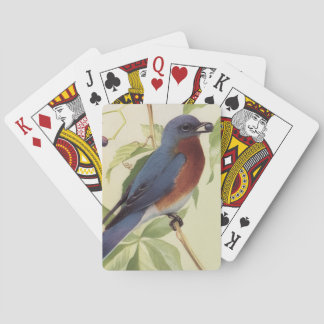 Cartas de Baralho de Pássaros