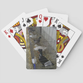 Cartas de Baralho de Pato