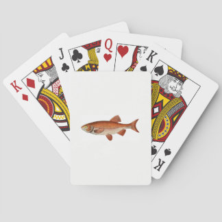 Cartas de Baralho de Peixes