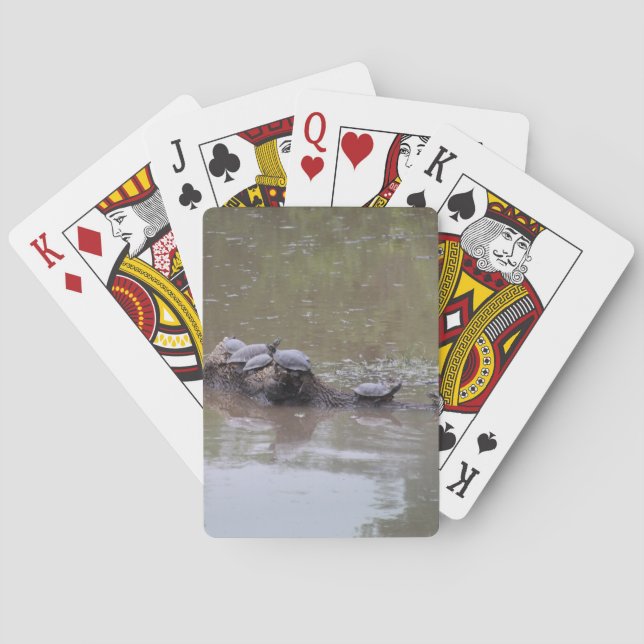Cartas de Baralho de Tartarugas (Verso)