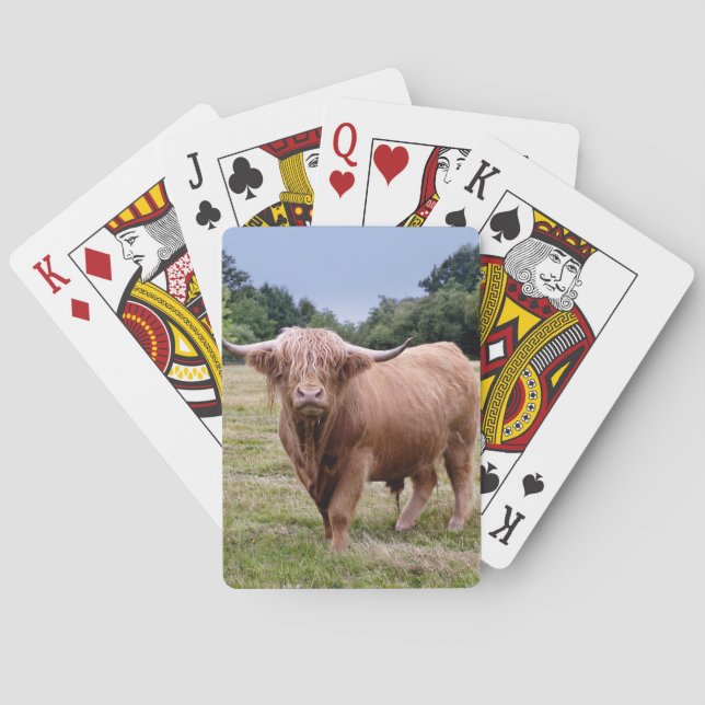 Cartas de Baralho de Vaca das Terras Altas (Verso)