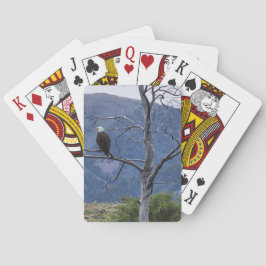 Cartas de Baralho de Vigia