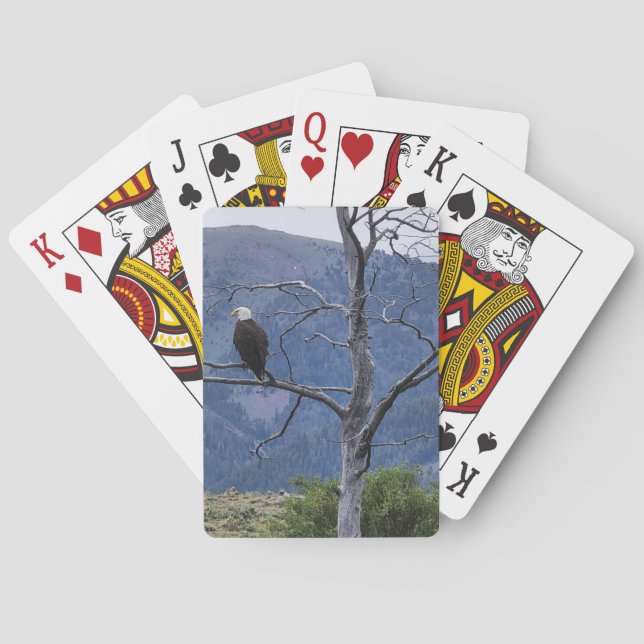 Cartas de Baralho de Vigia (Verso)