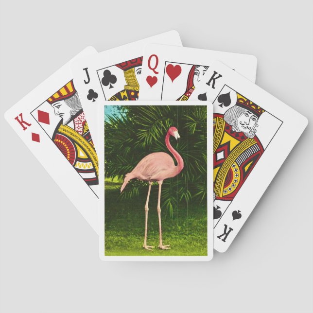 Cartas de Baralho do Bela Rosa Flamingo (Verso)