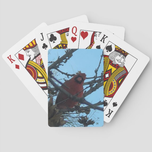 Cartas de Baralho do Cardinal (Verso)