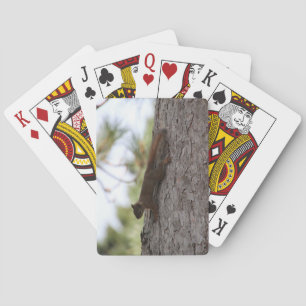 Cartas de Baralho do Esquilo de Cabeça para Baixo