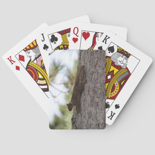 Cartas de Baralho do Esquilo de Cabeça para Baixo (Verso)