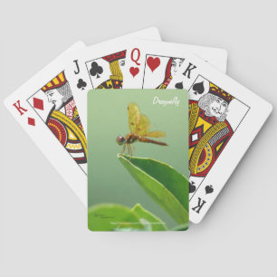 Cartas de Baralho do Libélula Laranja