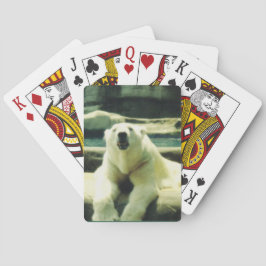 Cartas de Baralho do Urso Polar