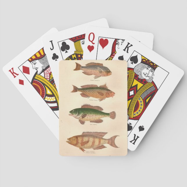 Cartas de Baralho FourFish (Verso)
