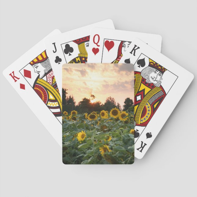 Cartas de Baralho Girassol (Verso)
