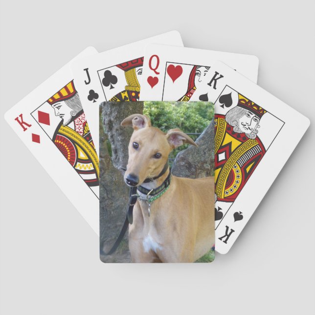 Cartas de baralho Greyhound (5) (Verso)