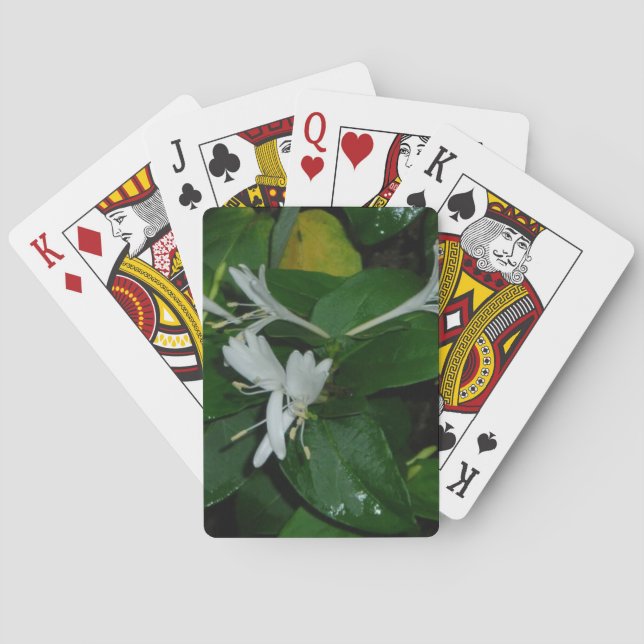 Cartas de Baralho Honeysuckle (Verso)