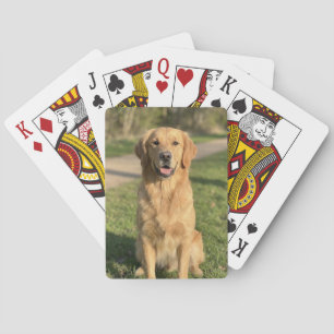 Cartas de baralho personalizadas com foto de anima