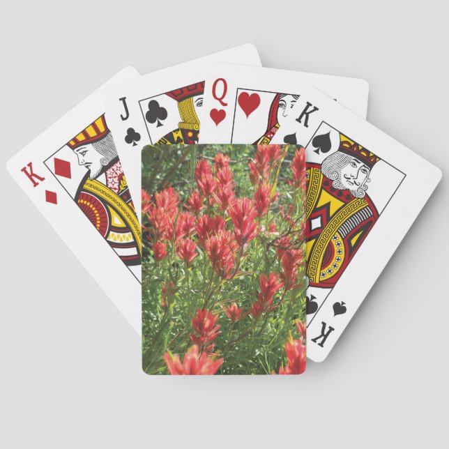 Cartas de baralho Pincel (Verso)