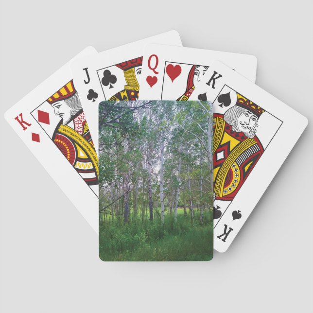 Cartas de Baralho Quakies (Verso)