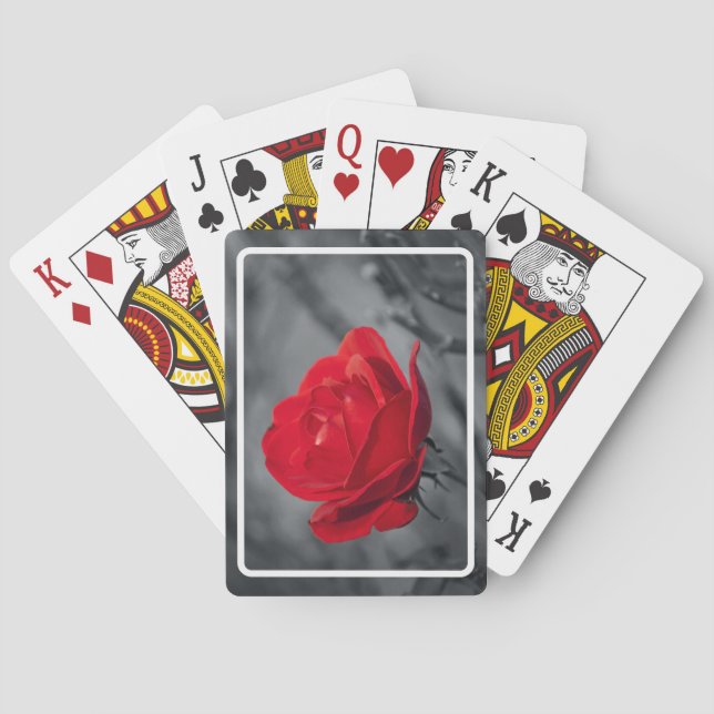 Cartas de Baralho Rosa Vermelha (Verso)