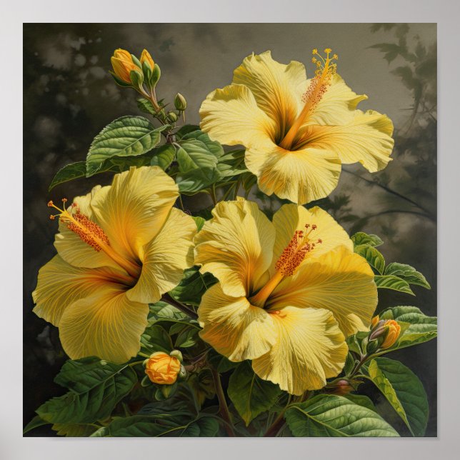 Cartaz de Arte de Impressão de Flor de Hibisco Ama (Frente)
