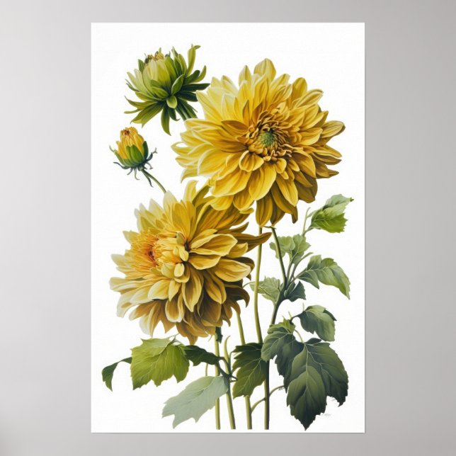 Cartaz de Arte de Impressão de Flores de Dalias Am (Frente)