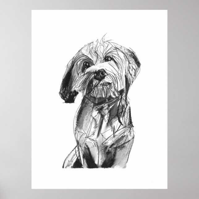Cartaz de Arte de Parede Cavapoo, Impressão de Art (Frente)