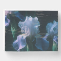 Cartaz de Arte Floral Íris Azul