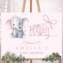 Cartaz de Boas-Vindas para Chá de Bebê Menina com
