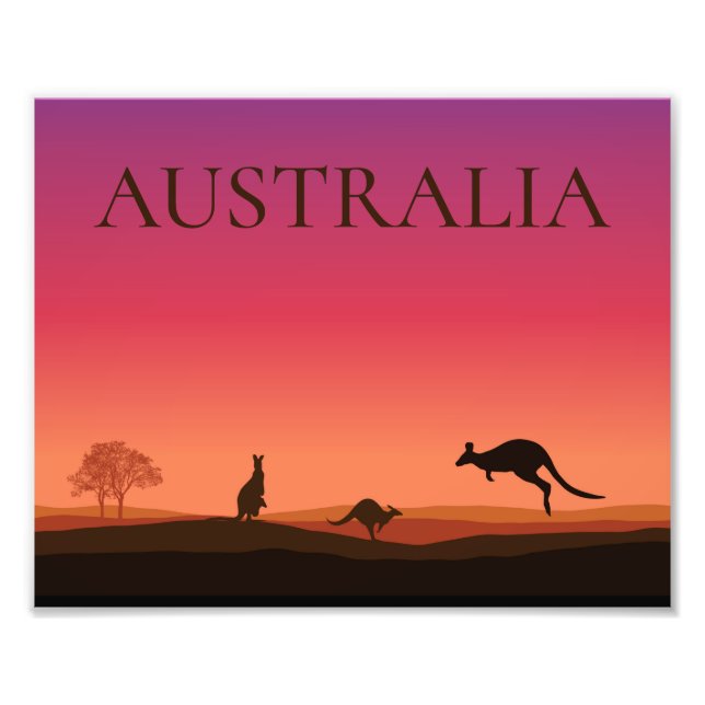 Cartaz de Foto de Cangurus da Austrália (Frente)