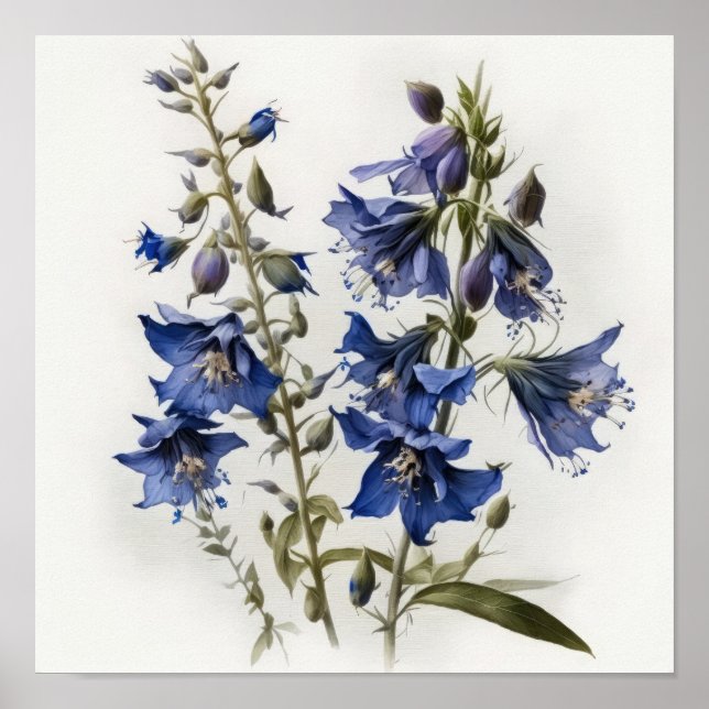 Cartaz de Impressão Artística de Flor de Cotoneast (Frente)