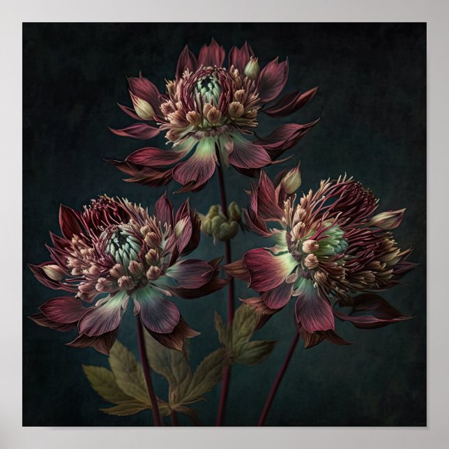 Cartaz de Impressão Artística de Flores Burgundy A (Frente)