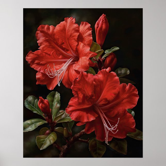 Cartaz de Impressão Artística de Flores de Azaléia (Frente)