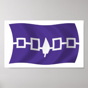 Cartaz de impressão da bandeira da Confederação Ir