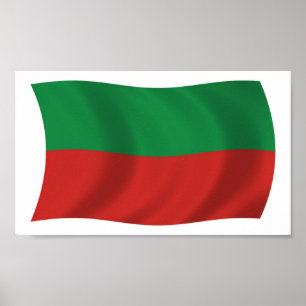 Cartaz de Impressão da Bandeira da Nação Sac & Fox